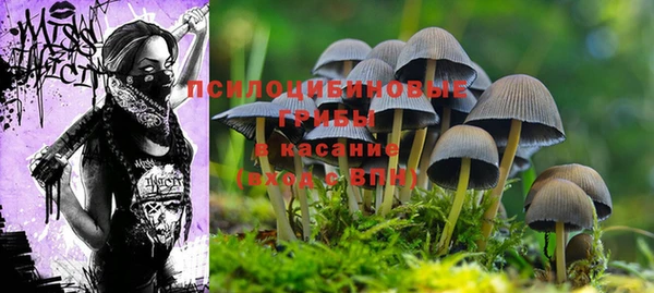 первитин Володарск