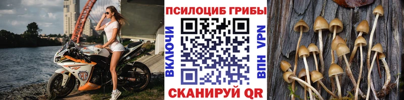 Купить закладки  Каневская  Галлюциногенные грибы мицелий 